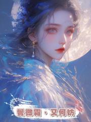 鬢微霜，又何妨